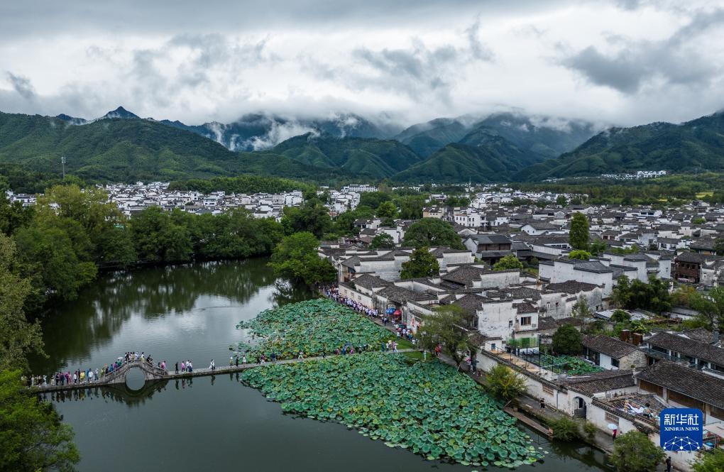 ag厅下载